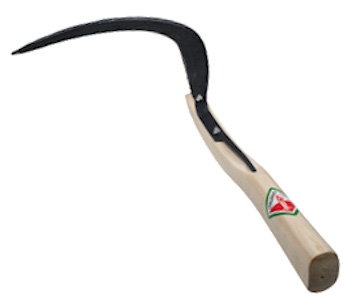 SEGHEZZO ERBA EXTRA PP