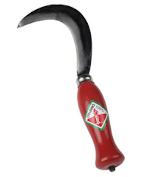 RONCOLINO CM12 M ROSSO PP