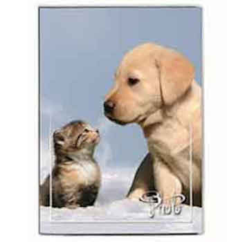 ALBUM PER 80 FOTO 13,5X 19